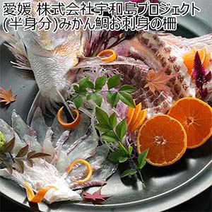 愛媛 株式会社宇和島プロジェクト (半身分)みかん鯛お刺身の柵【超！ナツ夏祭り】【NN】