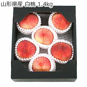 山形県産 白桃  1.4kg【限定300点】【お届け期間：8月15日〜9月15日】【超！ナツ夏祭り】