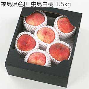 福島県産 川中島白桃 1.5kg【限定300点】【お届け期間：8月15日〜8月31日】【超！ナツ夏祭り】