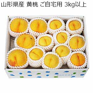 山形県産 黄桃 ご自宅用 3kg以上【限定300点】【お届け期間：8月15日〜9月15日】【超！ナツ夏祭り】