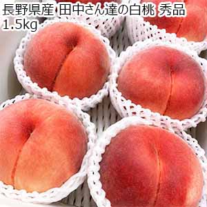 長野県産 田中さん達の白桃 秀品 1.5kg【お届け期間：8月15日〜9月30日】【超！ナツ夏祭り】
