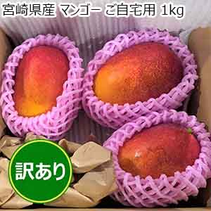 宮崎県産 マンゴー ご自宅用 1kg【お届け期間：8月1日〜8月31日】【超！ナツ夏祭り】