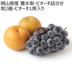 岡山県産 豊水梨・ピオーネ詰合せ 梨2個・ピオーネ1房入り【お届け期間:9月10日〜9月30日】【NN】