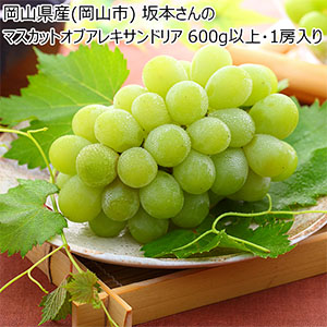 岡山県産(岡山市) 坂本さんのマスカットオブアレキサンドリア 600g以上・1房入り【お届け期間:9月10日〜10月20日】【NN】