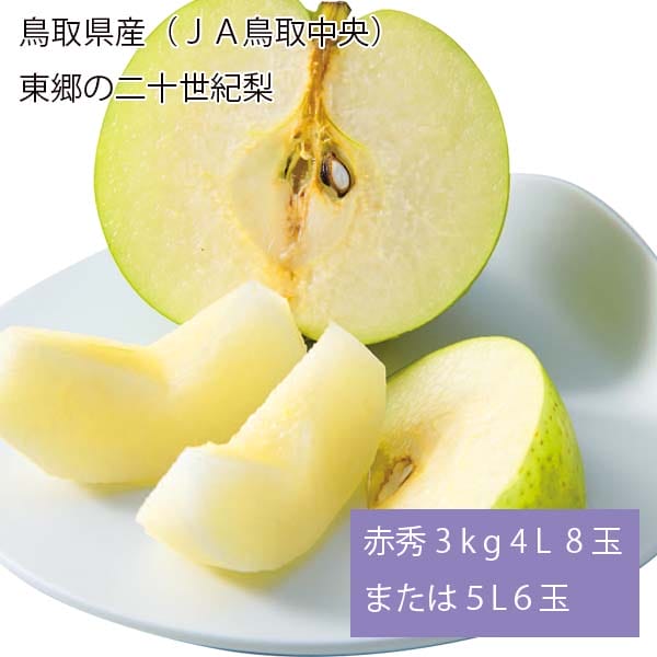鳥取県産(JA鳥取中央)東郷の二十世紀梨 赤秀3kg 4L8玉または5L6玉【お届け期間:8月28日〜9月25日】【梨ギフト】【NN】