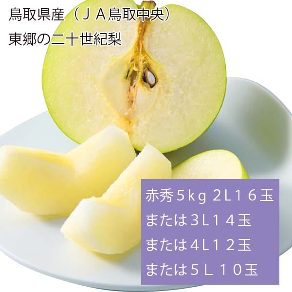 鳥取県産(JA鳥取中央)東郷の二十世紀梨 赤秀5kg 2L16玉または3L14玉または4L12玉または5L10玉【お届け期間:8月28日〜9月25日】【梨ギフト】【NN】