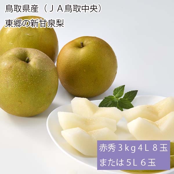 鳥取県産(JA鳥取中央)東郷の新甘泉梨 赤秀3kg 4L8玉または5L6玉【お届け期間:8月21日〜9月15日】【梨ギフト】【NN】