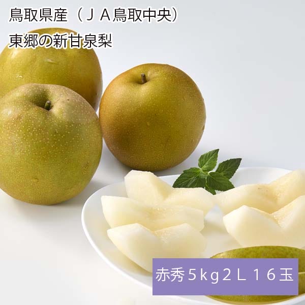鳥取県産(JA鳥取中央)東郷の新甘泉梨 赤秀5kg 2L16玉【お届け期間:8月21日〜9月15日】【梨ギフト】【NN】