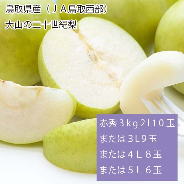 鳥取県産(JA鳥取西部)大山の二十世紀梨 赤秀3kg 2L10玉または3L9玉または4L8玉または5L6玉【お届け期間:8月26日〜9月25日】【梨ギフト】【NN】
