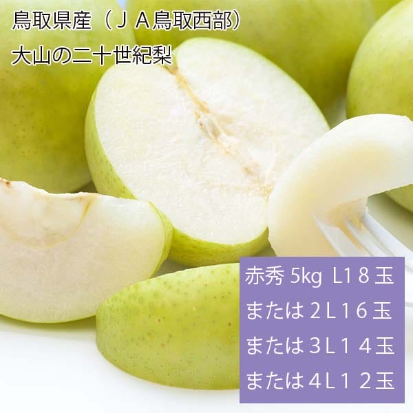 鳥取県産(JA鳥取西部)大山の二十世紀梨 赤秀5kg L18玉または2L16玉または3L14玉または4L12玉【お届け期間:8月26日〜9月25日】【梨ギフト】【NN】