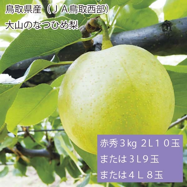 鳥取県産(JA鳥取西部)大山のなつひめ梨 赤秀3kg 2L10玉または3L9玉または4L8玉【お届け期間:8月17日〜9月10日】【梨ギフト】【NN】