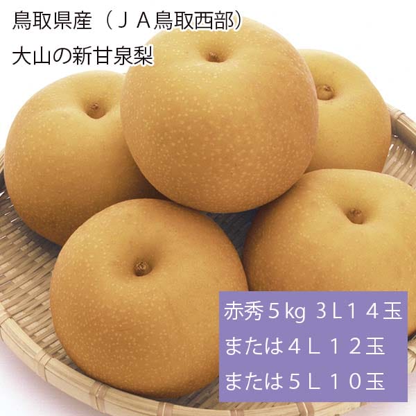 鳥取県産(JA鳥取西部)大山の新甘泉梨 赤秀5kg 3L14玉または4L12玉または5L10玉【お届け期間:8月20日〜9月20日】【梨ギフト】【NN】