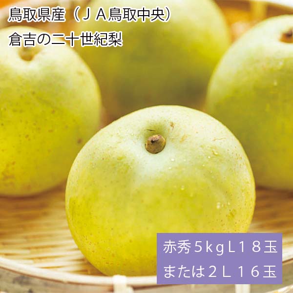 鳥取県産(JA鳥取中央)倉吉の二十世紀梨 赤秀5kg L18玉または2L16玉【お届け期間:8月26日〜9月25日】【梨ギフト】【NN】