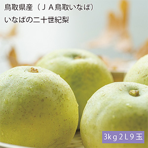 鳥取県産(JA鳥取いなば)いなばの二十世紀梨 赤秀3kg 2L9玉【お届け期間:8月26日〜9月25日】【梨ギフト】【NN】
