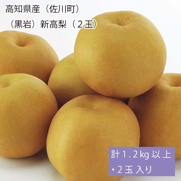 高知県産(佐川町)(黒岩)新高梨 計1.2kg以上・2玉入り【お届け期間:9月29日〜10月23日】【梨ギフト】【NN】