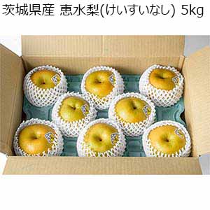 茨城県産 恵水梨(けいすいなし) 5kg 【限定100点】【敬老の日】
