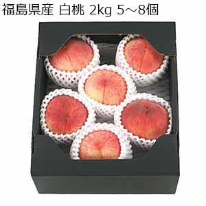 福島県産 白桃 2kg 5〜8個 【限定100点】【敬老の日】