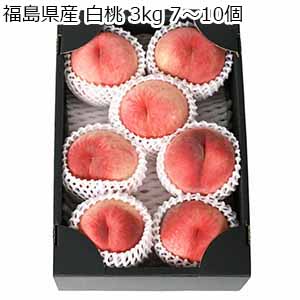 福島県産 白桃 3kg 7〜10個 【限定100点】【敬老の日】