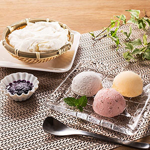 新郷村ふるさと活性化公社(青森県) 生チーズケーキと濃厚アイスセット 9個入【敬老の日】