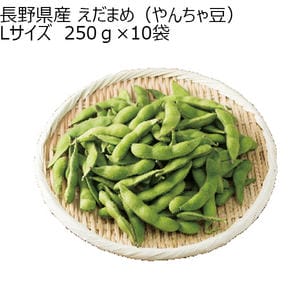 長野県産 えだまめ(やんちゃ豆)Lサイズ 250g×10袋【超！ナツ夏祭り】【CB】
