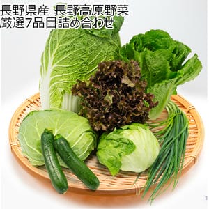 長野県産 長野高原野菜厳選7品目詰め合わせ【超！ナツ夏祭り】【CB】
