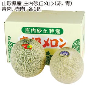 山形県産 庄内砂丘メロン(赤・青) 各1玉 【お届け期間:7/20(月)〜8/15(土)】【MK】