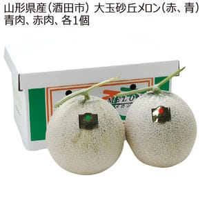 山形県産(酒田市) 大玉砂丘メロン(赤・青) 各1玉 【お届け期間:7/20(月)〜8/15(土)】【MK】