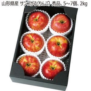 山形県産 サンつがる(りんご) 秀品・5〜7個・2kg 【お届け期間:8/20(木)〜9/15(火)】【MK】