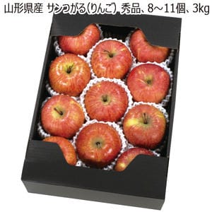 山形県産 サンつがる(りんご) 秀品・8〜11個・3kg 【お届け期間:8/20(木)〜9/15(火)】【MK】