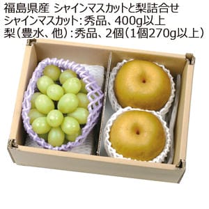 福島県産 シャインマスカットと梨詰合せ 【お届け期間:9/10(木)〜9/30(水)】【MK】