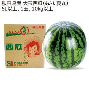 秋田県産 大玉西瓜(あきた夏丸) 5L以上 1玉 10kg以上 【お届け期間:8/1(土)〜8/15(土)】【MK】