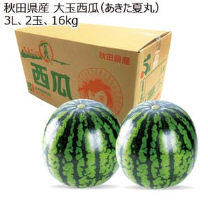 秋田県産 大玉西瓜(あきた夏丸) 3L2玉16kg 【お届け期間:8/1(土)〜8/15(土)】【MK】