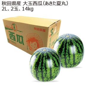 秋田県産 大玉西瓜(あきた夏丸) 2L2玉14kg 【お届け期間:8/1(土)〜8/15(土)】【MK】