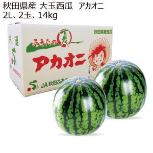 秋田県産 大玉西瓜 アカオニ 2L2玉14kg 【お届け期間:8/1(土)〜8/15(土)】【MK】