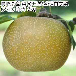 鳥取県産 梨 砂口さんの秋甘泉梨 (大玉) 赤秀 3kg【限定50点】【お届け期間：9月2日〜9月25日】【サマーセール】