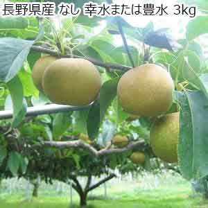 長野県産 なし 幸水または豊水 3kg【お届け期間：8月15日〜9月30日】【サマーセール】