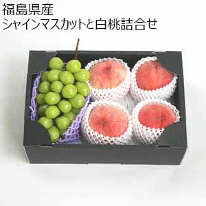 福島県産 シャインマスカットと白桃詰合せ【限定100点】【お届け期間：9月1日〜9月20日】【サマーセール】
