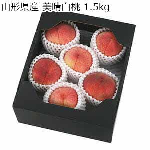 山形県産 美晴白桃 1.5kg【限定100点】【お届け期間：9月3日〜9月20日】【サマーセール】