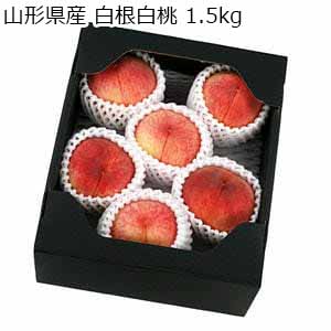 山形県産 白根白桃 1.5kg【限定100点】【お届け期間：9月3日〜9月20日】【サマーセール】