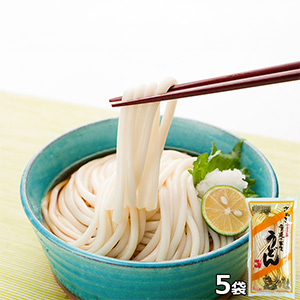 創麺屋 手延べ半生うどん5袋セット【サマーセール】【サクワ】