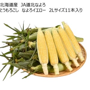 北海道産 JA道北なよろ とうもろこし なよろイエロー 2Lサイズ11本入り【CB】