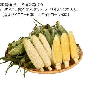 北海道産 JA道北なよろ とうもろこし食べ比べセット 2Lサイズ11本入り(なよろイエロー6本＋ホワイトコーン5本)【CB】