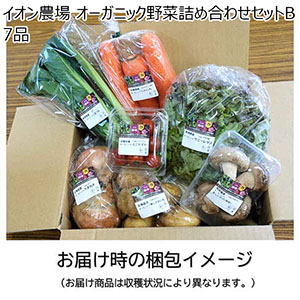 イオン農場 オーガニック野菜詰め合わせセットB 7品【お届け期間:8月10日〜8月31日】【NN】