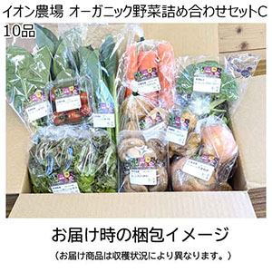 イオン農場 オーガニック野菜詰め合わせセットC 10品【お届け期間:8月10日〜8月31日】【NN】