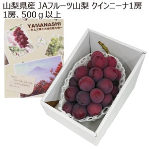 山梨県産(JAフルーツ山梨) クインニーナ1房(500g以上)【お届け期間:8月15日〜8月25日】【MK】