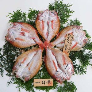 島根 岡富商店 「一日漁」のどぐろ一夜干 のどぐろ5〜6枚(計410g) 【NN】
