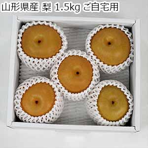 山形県産 梨 1.5kg ご自宅用【お届け期間：9月1日〜9月30日】【お買い得セール8月】