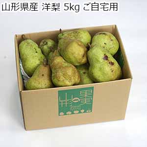 山形県産 洋梨 5kg ご自宅用【お届け期間：9月10日〜10月10日】【お買い得セール8月】