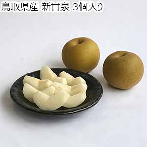 鳥取県産 新甘泉 3個入り 【限定50点】【お届け期間：9月15日〜9月30日】【お買い得セール8月】