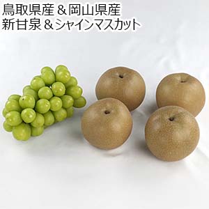 鳥取県産＆岡山県産 新甘泉＆シャインマスカット 【限定50点】【お届け期間：9月15日〜9月30日】【お買い得セール8月】